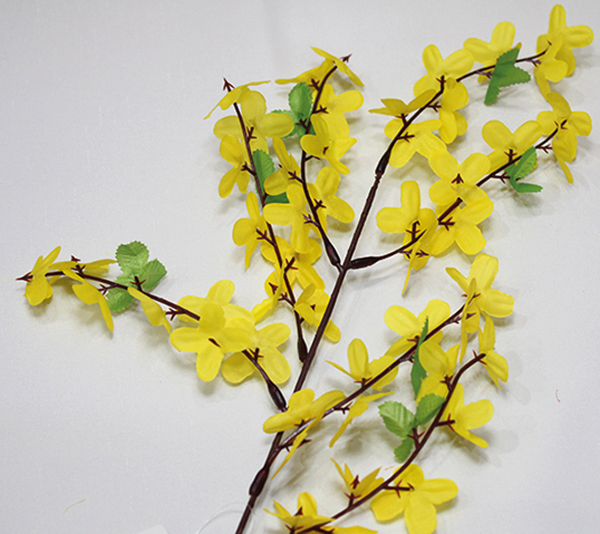 Forsythia with 7 branches 50cm lovingly and delicately