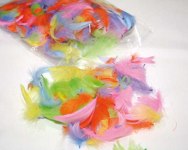 Natural feathers colourful design, mixed col.