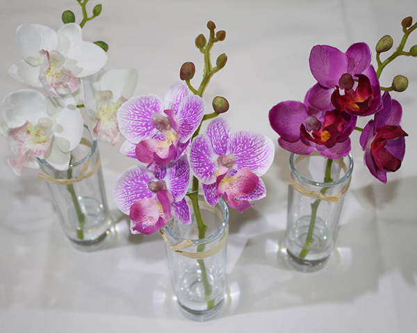 Orchidée noble dans un vase en verre, 19,5cm décoré d'un