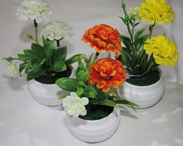 Ball chrysanthemum in a chic white pot, 14cm with two heads