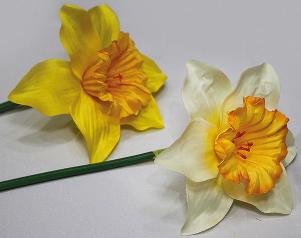 Daffodil, 10x40cm, lovingly and delicately