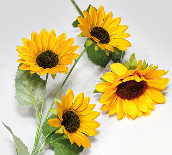 Sunflower bouquet with 3 heads, 10x58cm, lovingly and