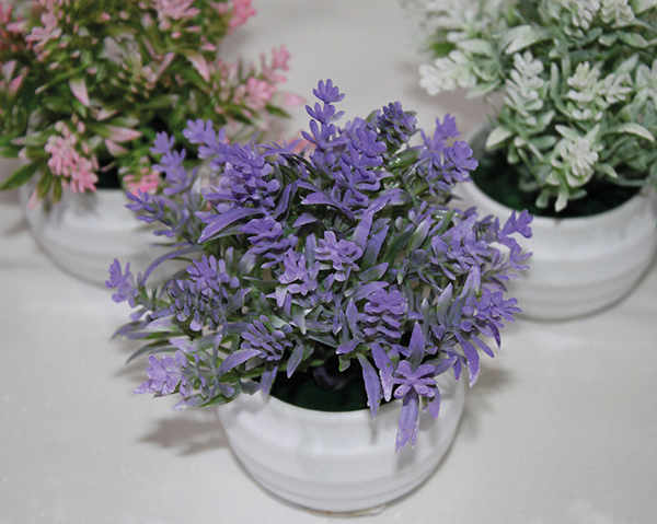 Flower mix in a chic white round pot, 14cm with two heads