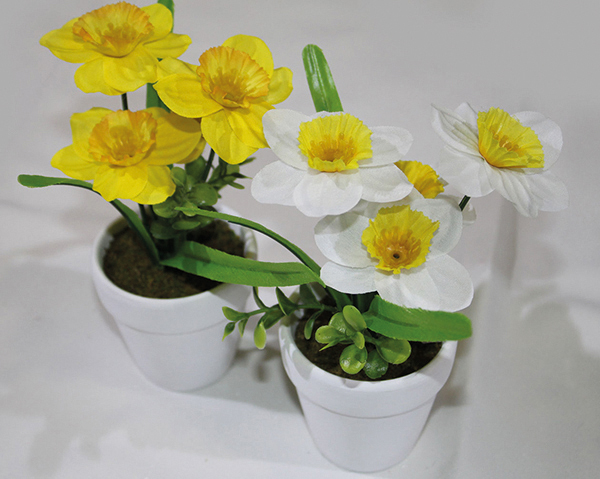 Daffodil with 4 heads in a chic white ceramic pot, 17cm