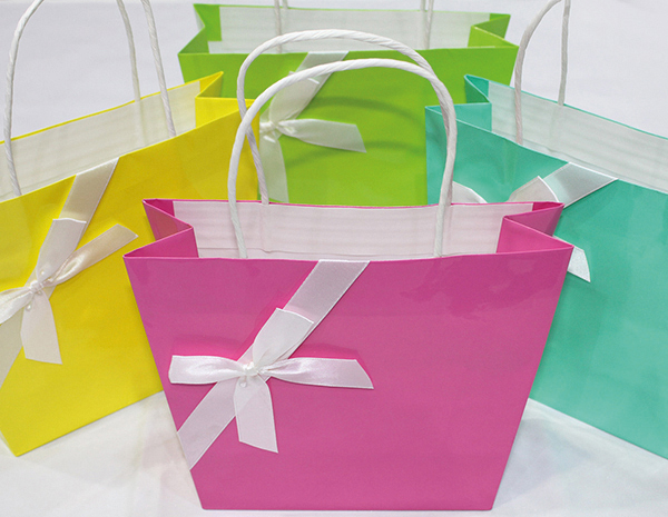 Gift bag, beautiful shape with a shiny surface, 22.5x18x8cm,