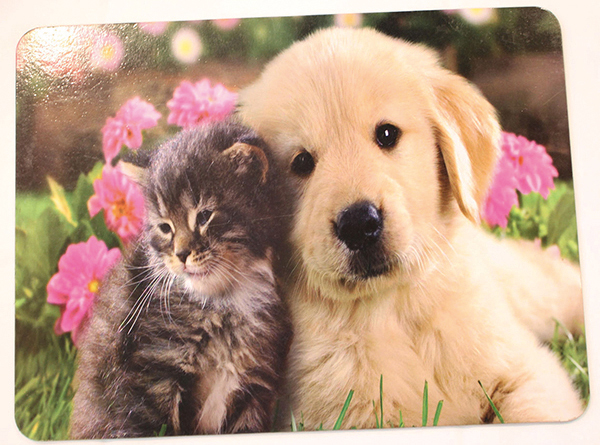 Placemat kitten and puppy, 44x28.5cm for a beautiful