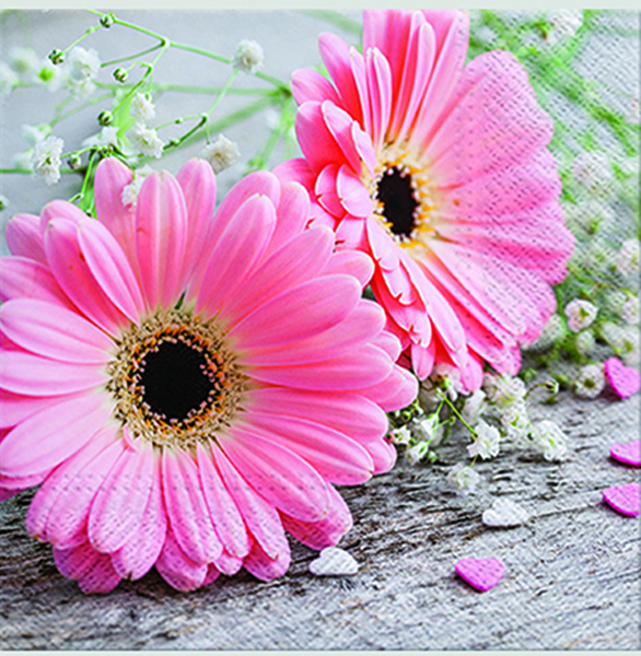 Premium Napkins 'Gerbera' 20pcs 33x33cm