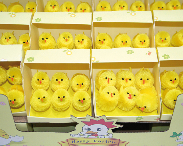 Chicks Plush Set of 6 6x6x6cm in col. Display