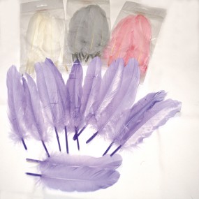 Real feathers set of 10! Long version (19cm)
