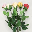 Rose geschlossene Blüte 68cm extralang 5 Farben