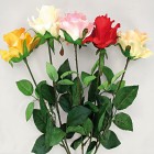 Rose open flower 68cm extralong,5 col. assorted