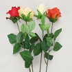 Rose halboffene Blüte 68cm extralang 4 Farben